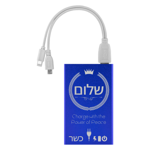 Charge with Shalom power bank station